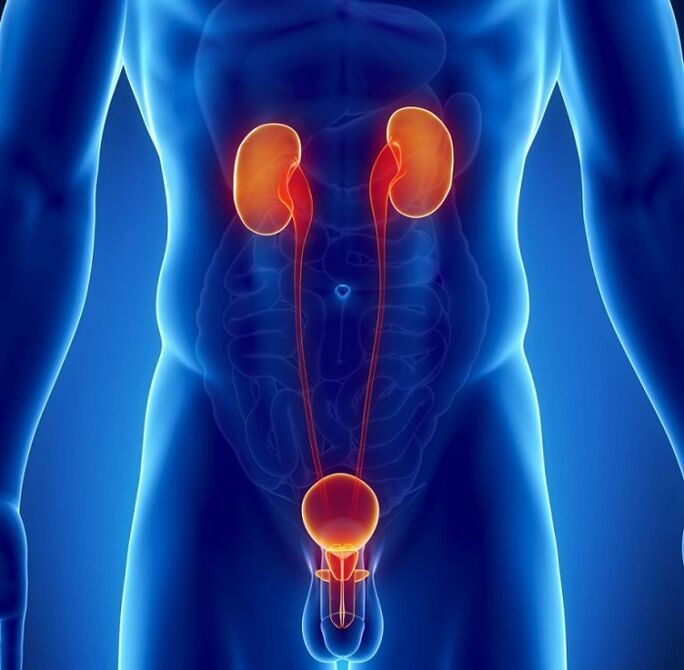 ما هي الأمراض المزمنة التي يمكن أن تؤثر على فاعلية الذكور؟